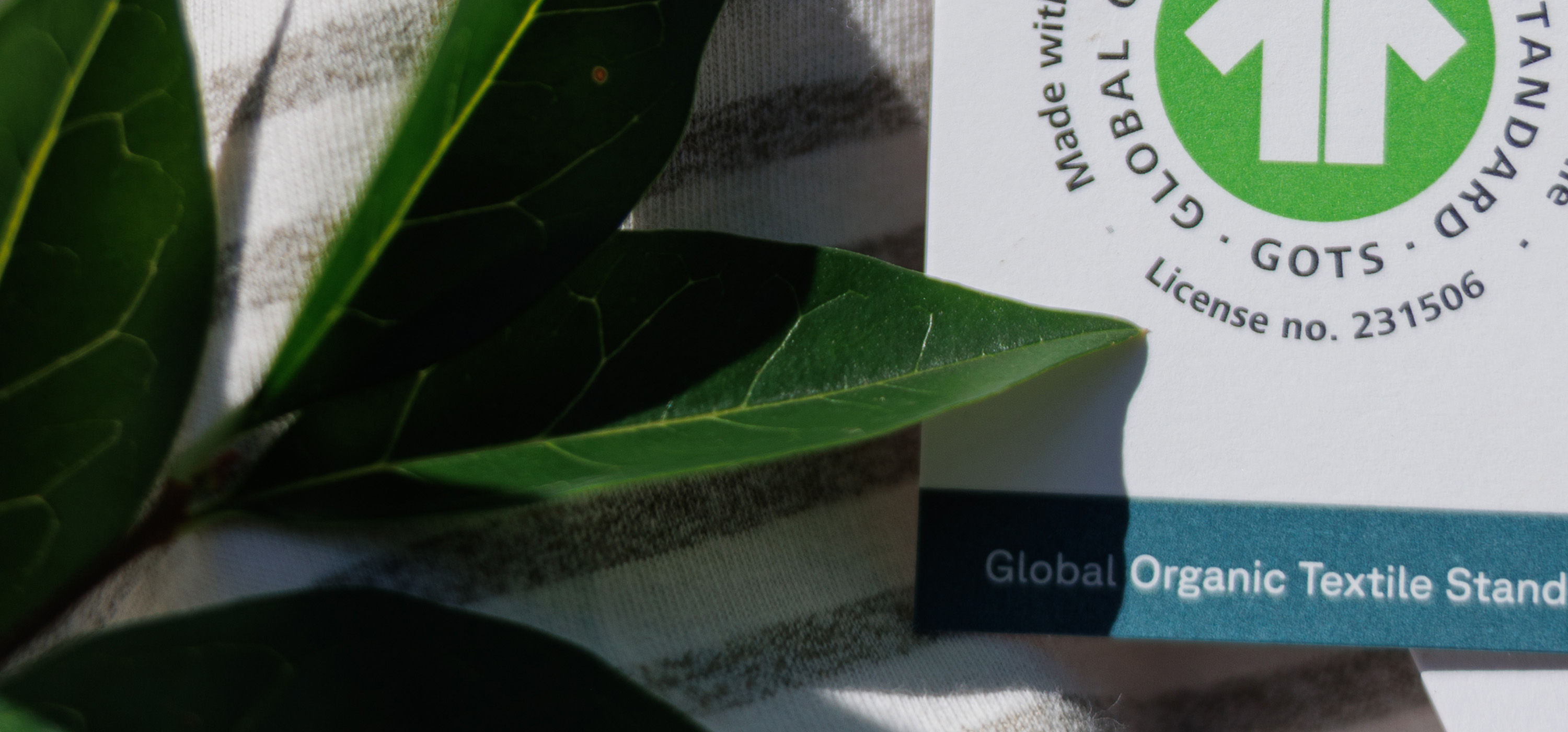 Blog_Sustainability_Banner_v1