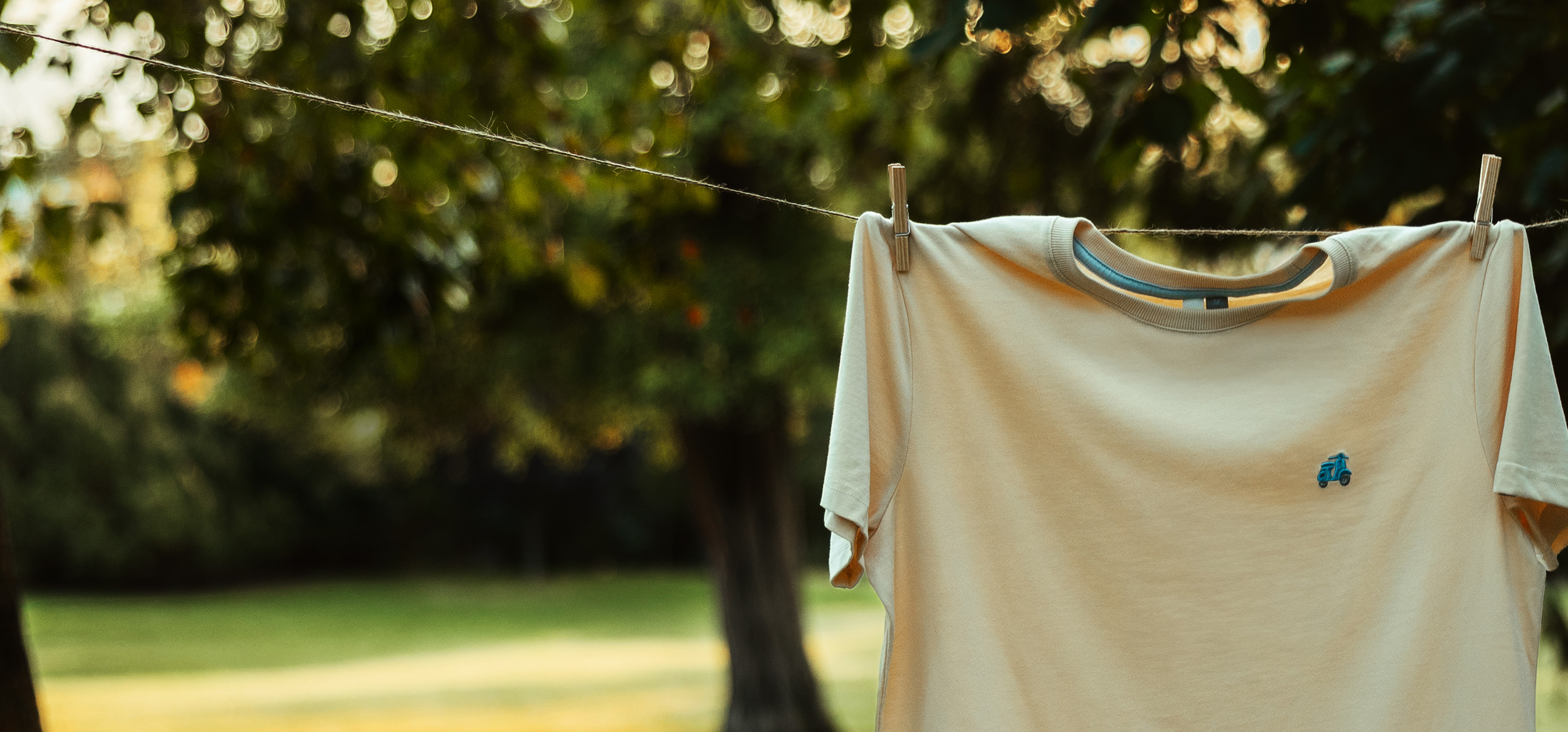 Blog_BlackFriday_Banner_v1